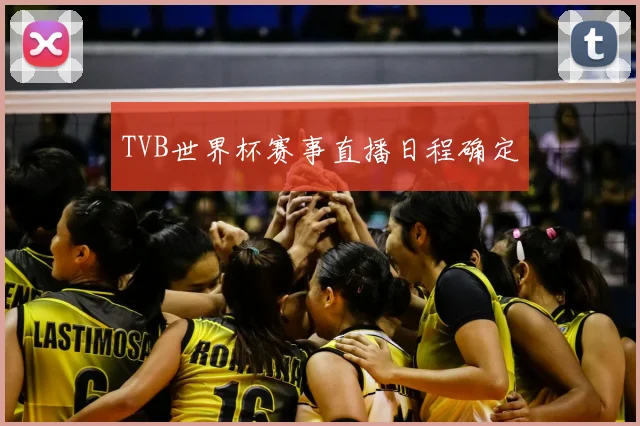 TVB世界杯赛事直播日程确定