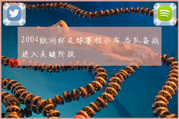 2004欧洲杯足球赛程公布 各队备战进入关键阶段