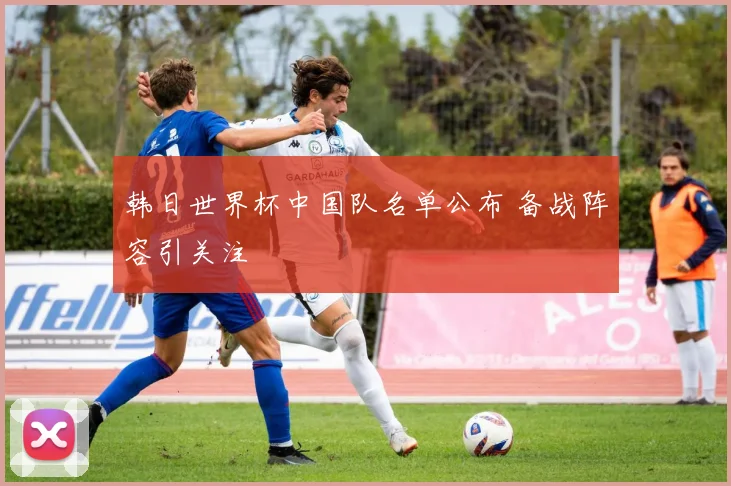 韩日世界杯中国队名单公布 备战阵容引关注