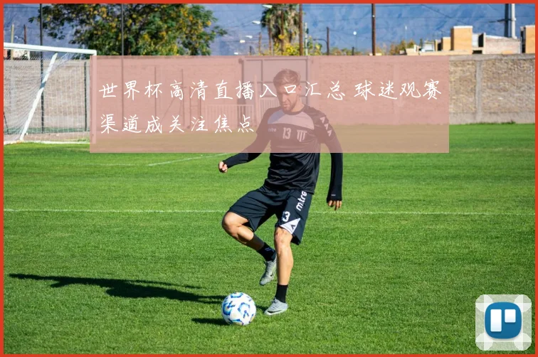 世界杯高清直播入口汇总 球迷观赛渠道成关注焦点