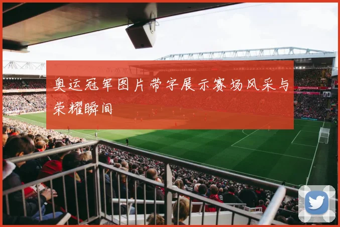 奥运冠军图片带字展示赛场风采与荣耀瞬间