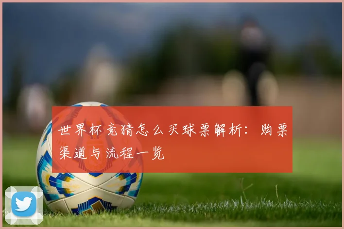 世界杯竞猜怎么买球票解析：购票渠道与流程一览