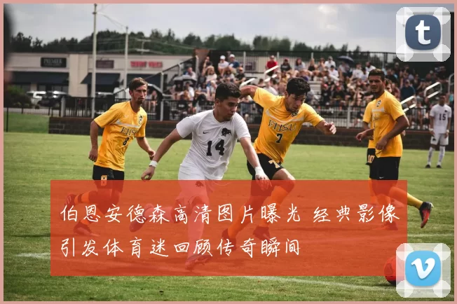 伯恩安德森高清图片曝光 经典影像引发体育迷回顾传奇瞬间