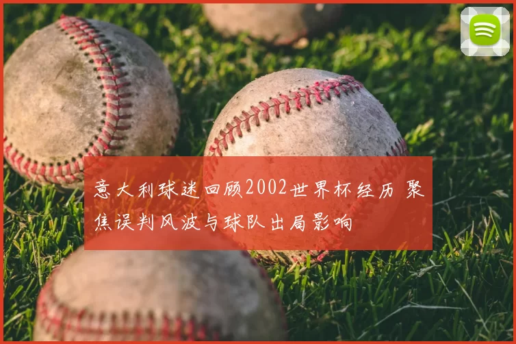 意大利球迷回顾2002世界杯经历 聚焦误判风波与球队出局影响